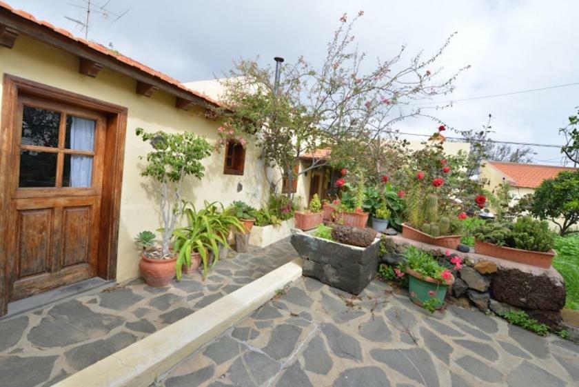 La Casa De Mis Padres *